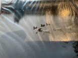 Photo004