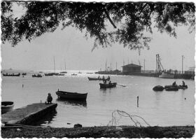 1973 Kalamis