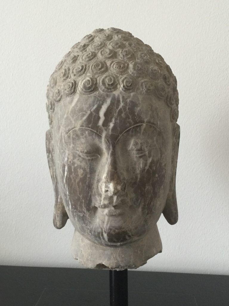 La Testa di Buddha