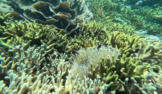 DCIM\100GOPRO\GOPR4266.JPG